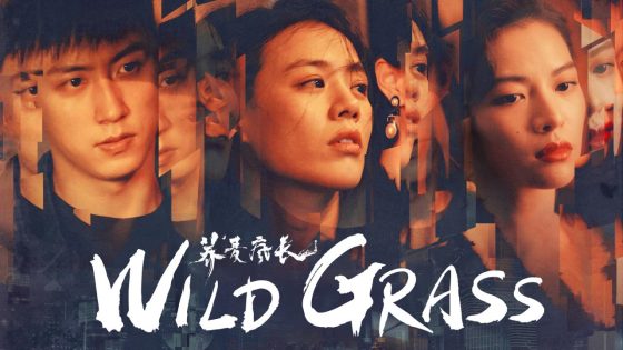حصريا شاهد فيلم Wild Grass 2020 مترجم كامل HD
